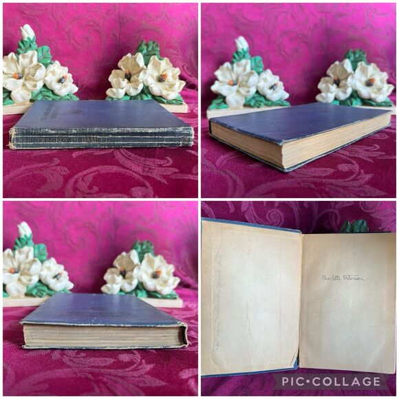 1909 The Tragedy of Hamlet. The New Hudson Shakespeare. Introduction and Notes - Picture 2 of 12